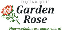 Garden Rose