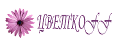 ЦветкоFF