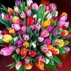 Для самых любимых